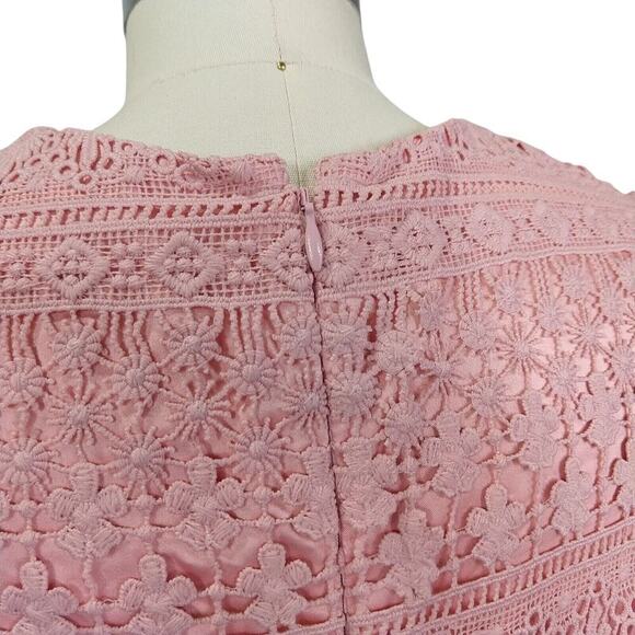 Rachel Parcell Pink Lace Sheath Dress Size S Velvet Coquette Crochet Pencil - Picture 7 of 10